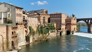 Assurance Albi